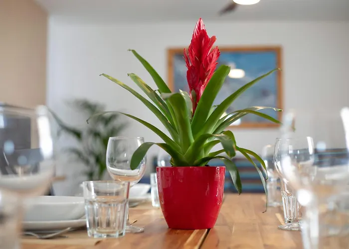 Appartamento House *